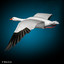flying goose 3d model