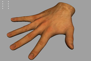 maya hand modeled rigged