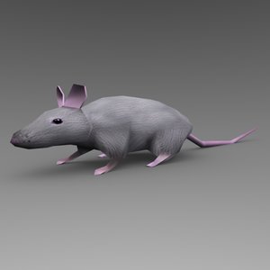 3d cute rat animations