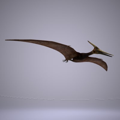 pteranodon fly animation 3d model