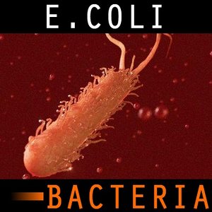 3ds max organic e coli