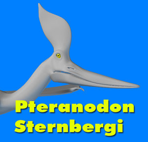 3ds pteranodon sternbergi