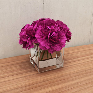 flower carnations 3d model