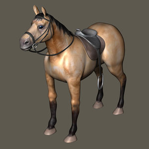 bay horse 3d model