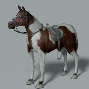 pinto horse saddle 3d max