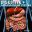 human digestive 3d model