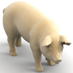 pig 3d model