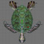 maya green sea turtle
