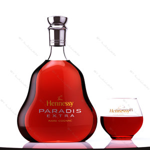 bottle glass cognac hennesy 3d model