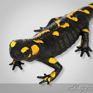 3d salamander lizard model