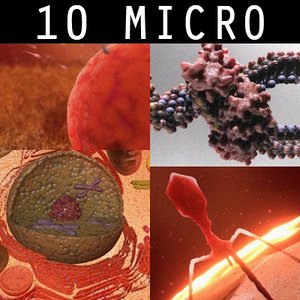 10 micro scenes 3d model