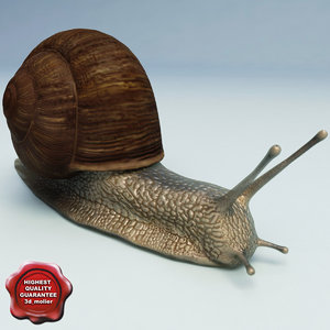snail modelled 3d 3ds