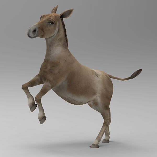 donkey poser 3d model