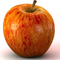 free max model apple