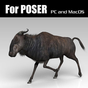 wildebeest poser 3d model