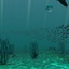 underwater scene 3d model