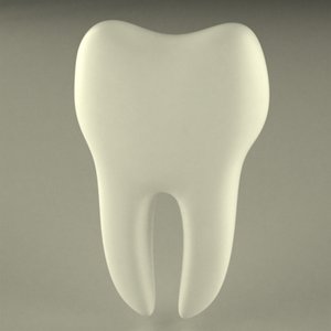 3d human tooth model