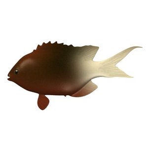 tropical fish 3d model