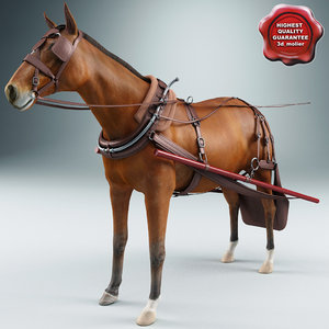 harnessed horse 3d model