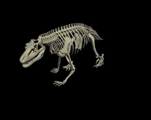 archosaur saurosuchus galilei dinosaur 3d model