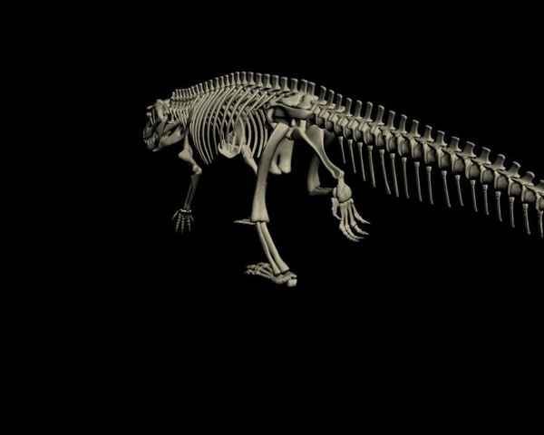 archosaur saurosuchus galilei dinosaur 3d model