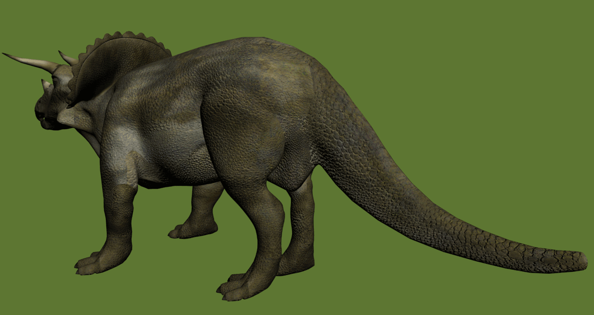 triceratops view in 3d