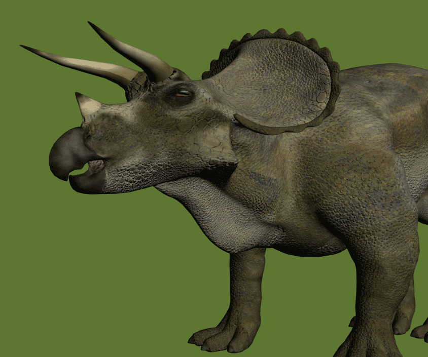 triceratops face