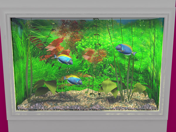 Modelo 3d Acuario Montado En La Pared Turbosquid 552045