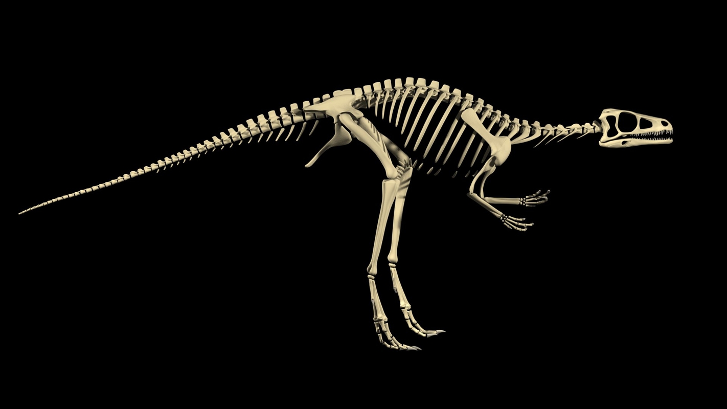 eoraptor lunensis dinosaur 3d model