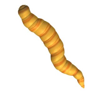 worm 3d model