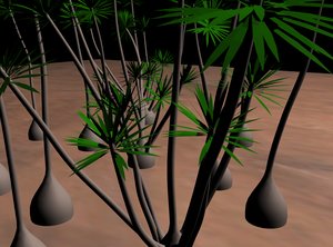 free yucca trees 3d model