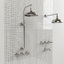 classical bathtub shower 3d model