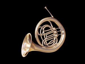 classical corno 3d model