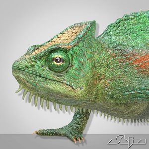 chameleon lizard 4 3d model