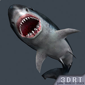 shark jaws 0 3d model