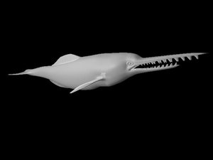 eurhinodelphi dolphin prehistoric 3d model