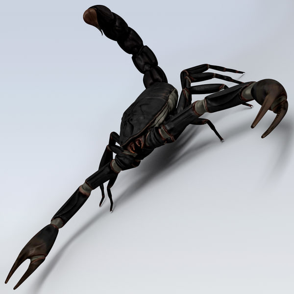 scorpion black 3d model