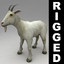 3d model rigged goat