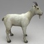 3d model rigged goat