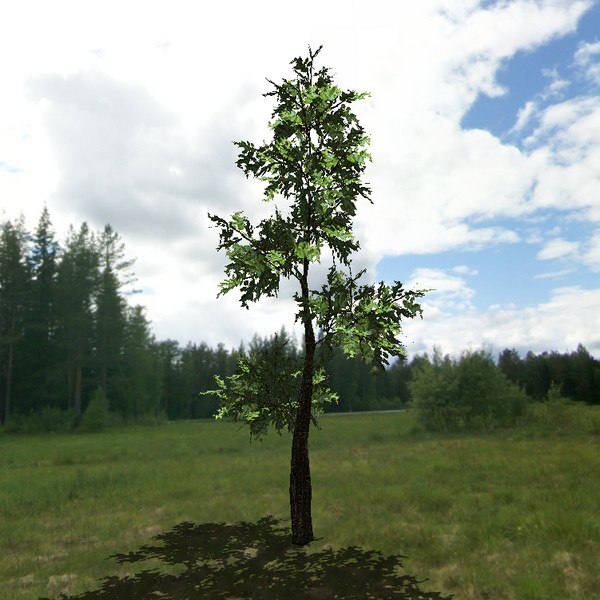 3ds hi-poly tree