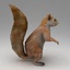 3d rigged squirrel model