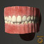 3d model teeth tongue