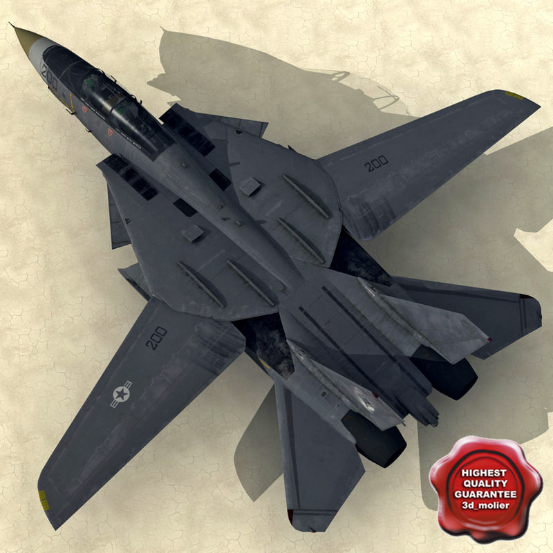 f-14 tomcat low-poly 3d model