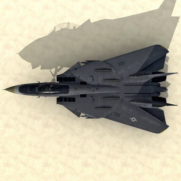 large scale f 14 model