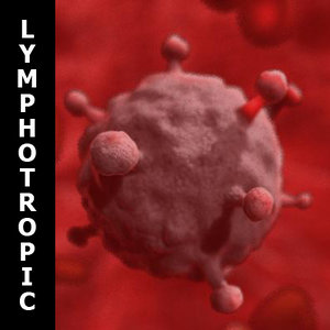 human b lymphotropic virus 3d model