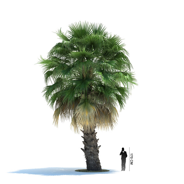 archmodels 85 trees 3d c4d