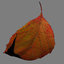 autumn leaf red 3d max