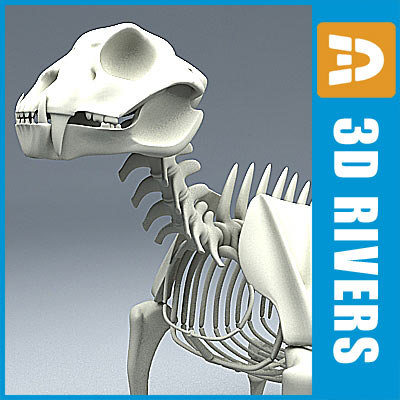 skeleton jaguars obj