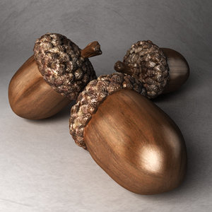 3dsmax oak nut