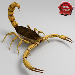 egyptian scorpion 3d model